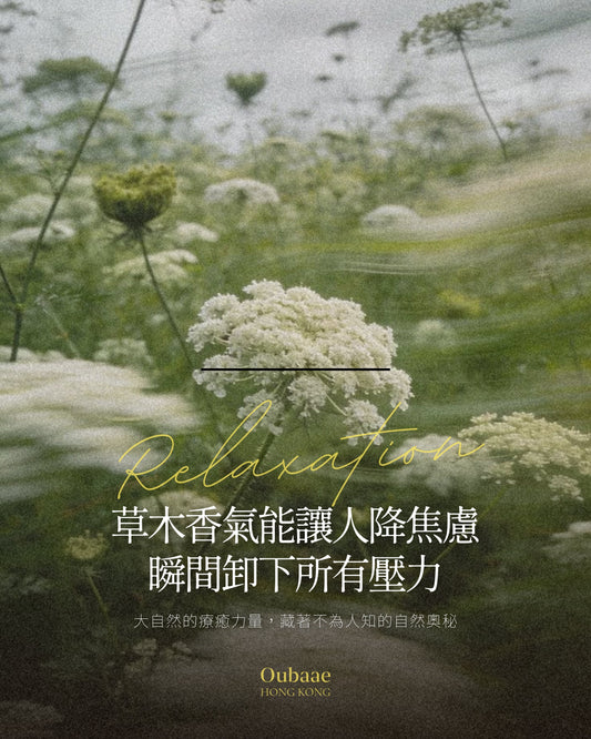 草本香氣