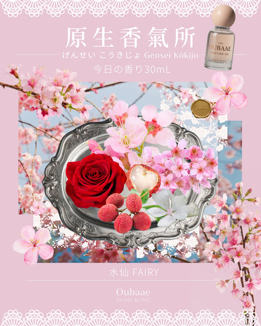 FAIRY 水仙