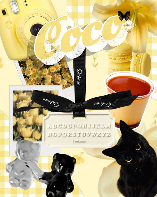 趣 · Pop Coco｜香薰擴香石