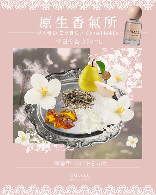 IN THE AIR 瀰漫香